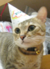 1652282493151.png