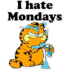 C3E1E178-374B-43AD-81F9-A9BC6A1DA00D.png
