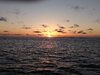 IMG_20220408_064410582.jpg