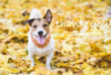 1653176787931.png