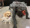 1655867125315.png
