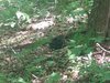 IMG_20220621_145046721.jpg