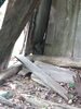 IMG_20220622_144724276.jpg