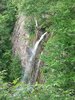 IMG_20220622_082542042.jpg