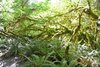 DSC_0870.JPG