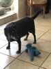 iOS Image - 3972090855.jpg