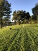 iOS Image - 2878986628.jpg