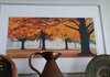 Fall Trees.jpg