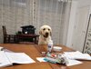 IMG_20221216_165829.jpg