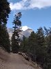 IMG_20220915_115141317.jpg