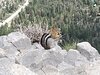 IMG_20220915_121119338.jpg