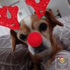 FB_IMG_1671839346034.jpg