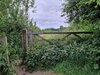 IMG_20210701_203411_893.jpg