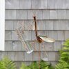 mantis rain gauge.jpg