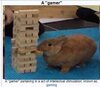 1678811185715.jpeg