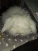 20230310_060602.jpg