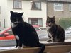 IMG_3344.jpeg