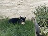 IMG_1793.jpeg