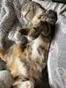 IMG_8585.jpeg