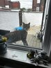 IMG_5331.jpeg