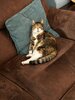 IMG_5147.jpeg