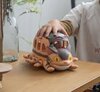 catbus.jpg
