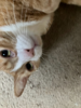 1690342347799.png