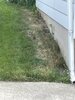IMG_0729.jpeg