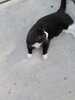 20220902_161109_Original.jpeg