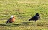 20230809_102128.jpg