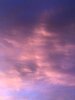 E131586E-31B4-46A1-868C-2AEFE4158322.jpeg