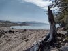 IMG_20230908_110541404_HDR.jpg