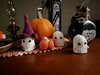 IMG_7218.jpeg