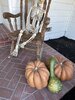 IMG_6281.jpeg