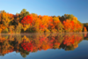 Brainerd-Lakes-Area.png