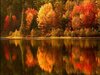 fall-colors-over-the-lake-1.jpg