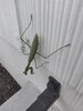 IMG_20231026_170641.jpg