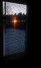 1700519526704.png