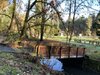 IMG_0365.jpeg