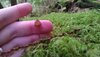 IMG_0443.jpeg