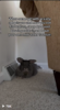 1705640243777.png