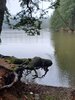 IMG_0826.jpeg