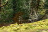 IMG_0840.jpeg