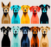 diffcolorsdogs.png