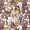 typesdogscollage.png