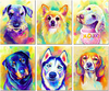 rainbowdogs.png