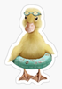 cuteducksmaller.png
