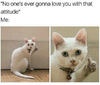 1710034085077.png