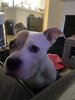 IMG_2897.jpeg