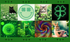 stpatzcollage.png